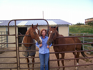 Sue and horses